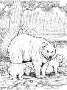 Black Bear Family coloring page