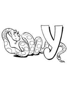 Boa Constrictor coloring page