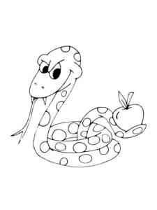 Boa Constrictor with apple coloring page