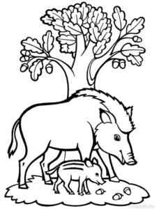 Wild Boar and Baby Boar coloring page