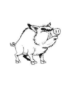 Angry Wild Boar coloring page