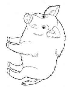 Wild Boar Smiling coloring page