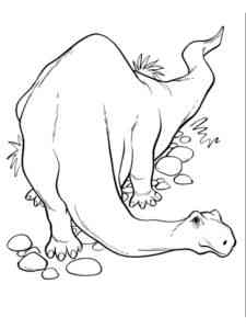 Brontosaurus Dinosaur coloring page