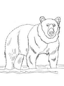 Strong Brown Bear coloring page