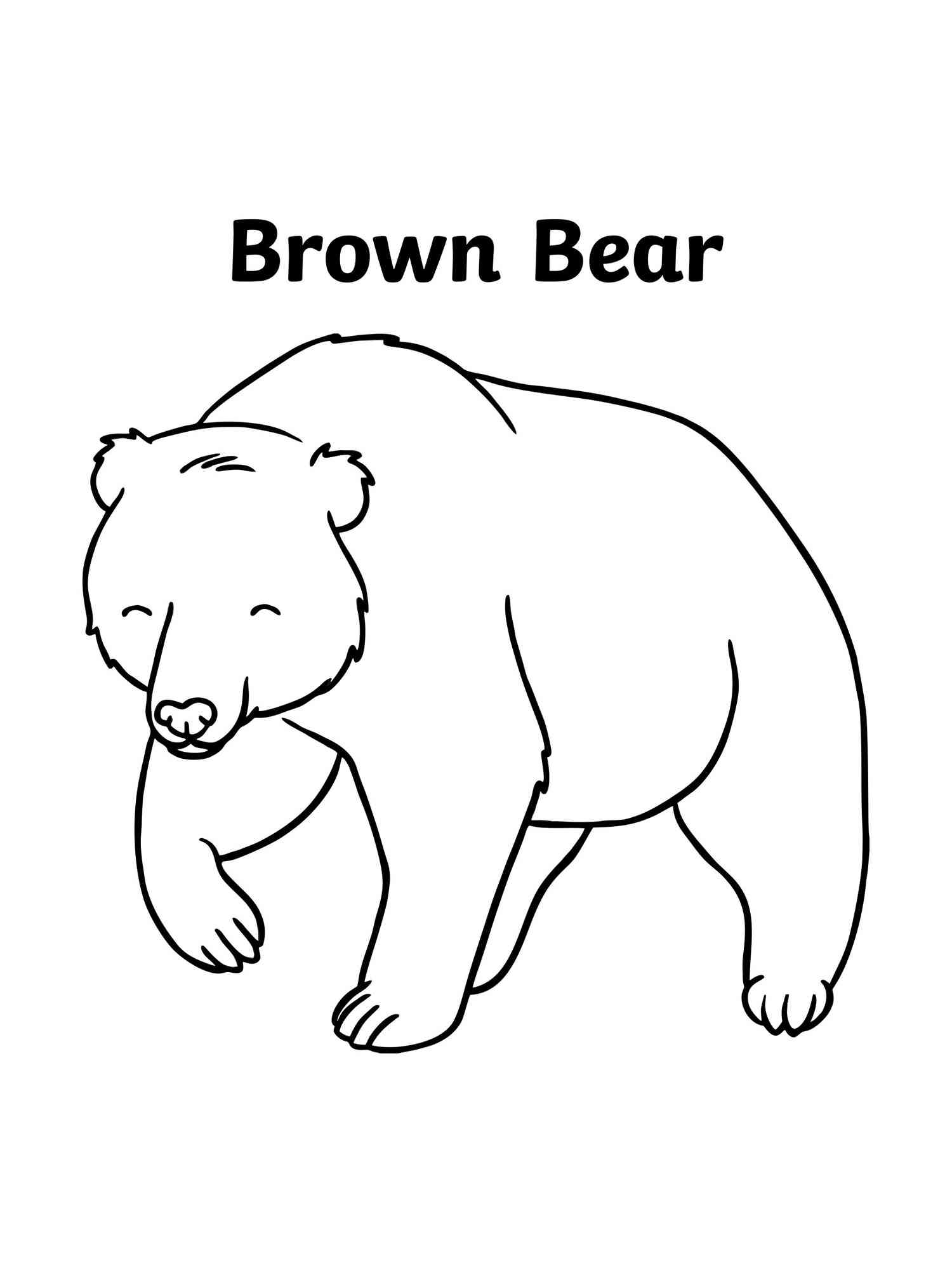 Cute Brown Bear coloring page