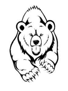Angry Brown Bear coloring page