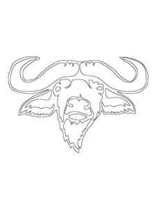 Simple Buffalo Head coloring page