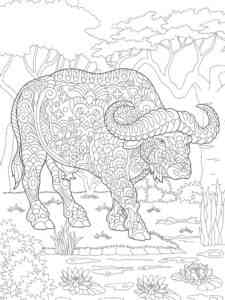 Zentangle Buffalo coloring page
