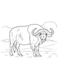 African Buffalo coloring page