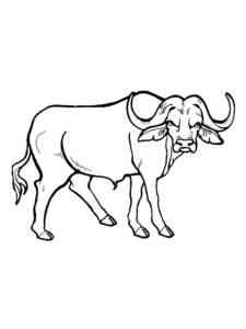 Realistic African Buffalo coloring page