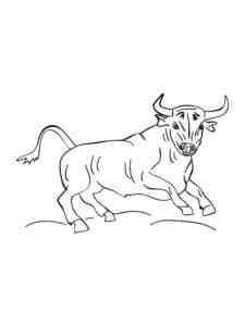 Angus Bull coloring page