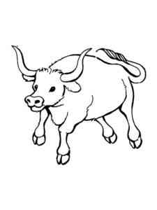 Simple Bull coloring page