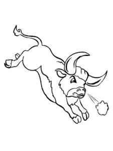 Bull in the jump coloring page