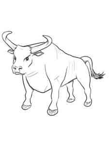 Angry Bull coloring page