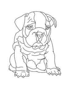 Baby Bulldog coloring page