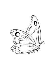 Soaring Butterfly coloring page
