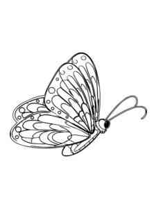 Butterfly 55 coloring page