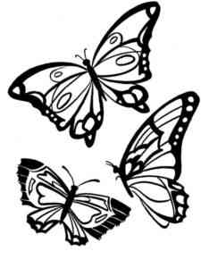 Three Butterflies coloring page