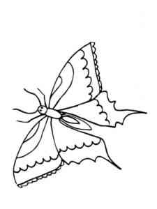 Black Swallowtail coloring page