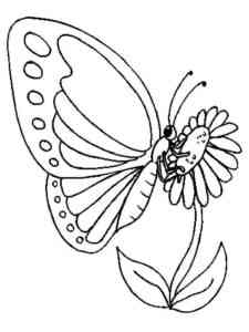 Butterfly on Daisy coloring page