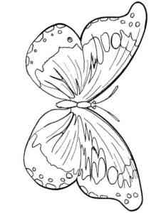 Easy Monarch Butterfly coloring page