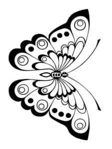 Butterfly 22 coloring page