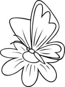 Butterfly and Flowers coloring page
