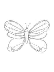 Butterfly 12 coloring page