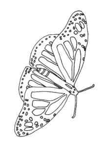 Easy Butterfly coloring page