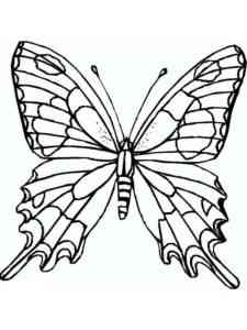 Simple Realistic Butterfly coloring page