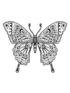 Butterfly coloring page for Adults