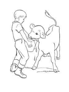 Boy and Calf coloring page