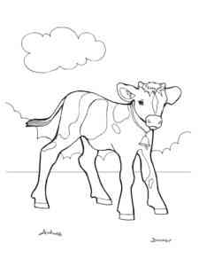 Easy Calf coloring page