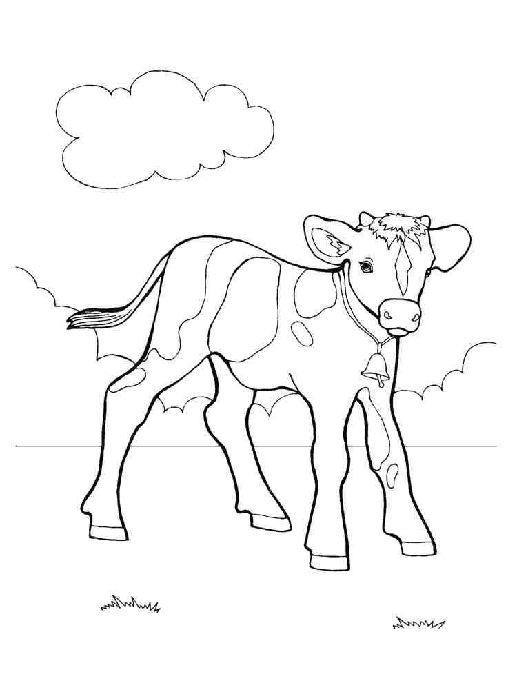 Easy Calf coloring page