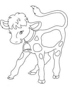 Playful Calf coloring page