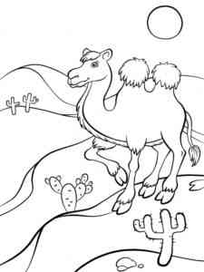 Bactrian Camel Walk coloring page