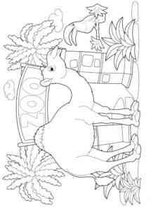 Camel in Zoo coloring page
