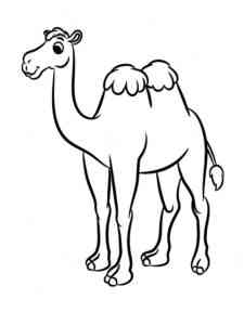 Simple Camel coloring page