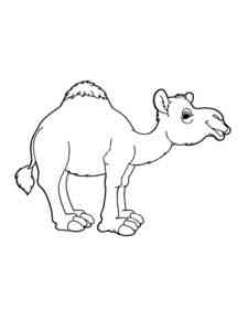 Funny One Hump Camel coloring page