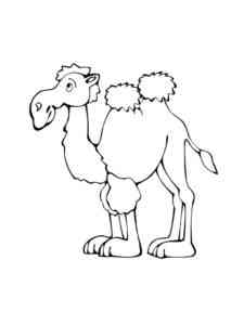 Two Hump Camel coloring page