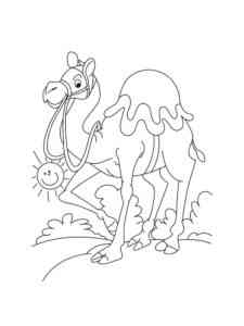 Camel in the desert coloring page
