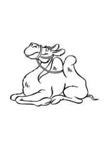 Camel lies coloring page
