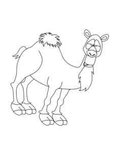 Funny Cartoon Camel coloring page