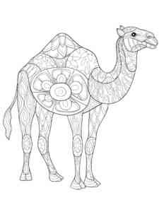 Camel coloring page for Adults