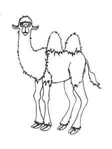 Cartoon Camel coloring page