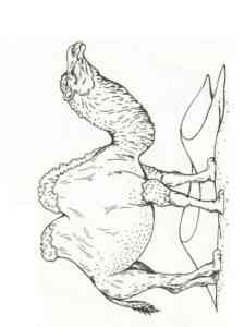 Bactrian Camel coloring page