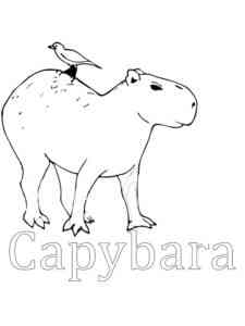 Capybara and Bird coloring page