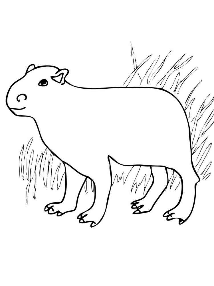 Simple Capybara coloring page
