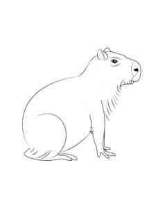 Capybara sitting coloring page