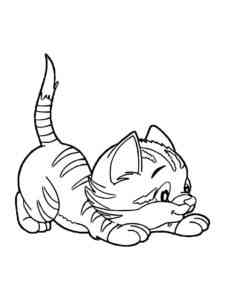Kitten Plays coloring page